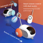 Remote Cat Car